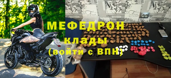 шишки Горняк