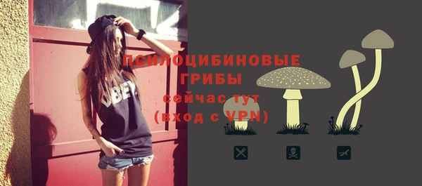 гидропоника Белоозёрский