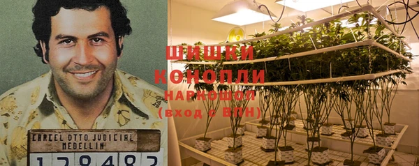 винт Белокуриха