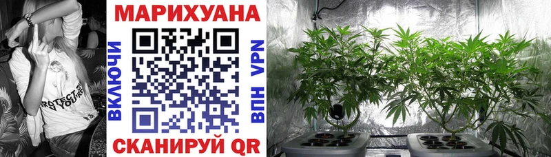 omg сайт  Малмыж  Бошки Шишки тримм 